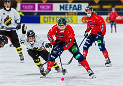 odds bandy